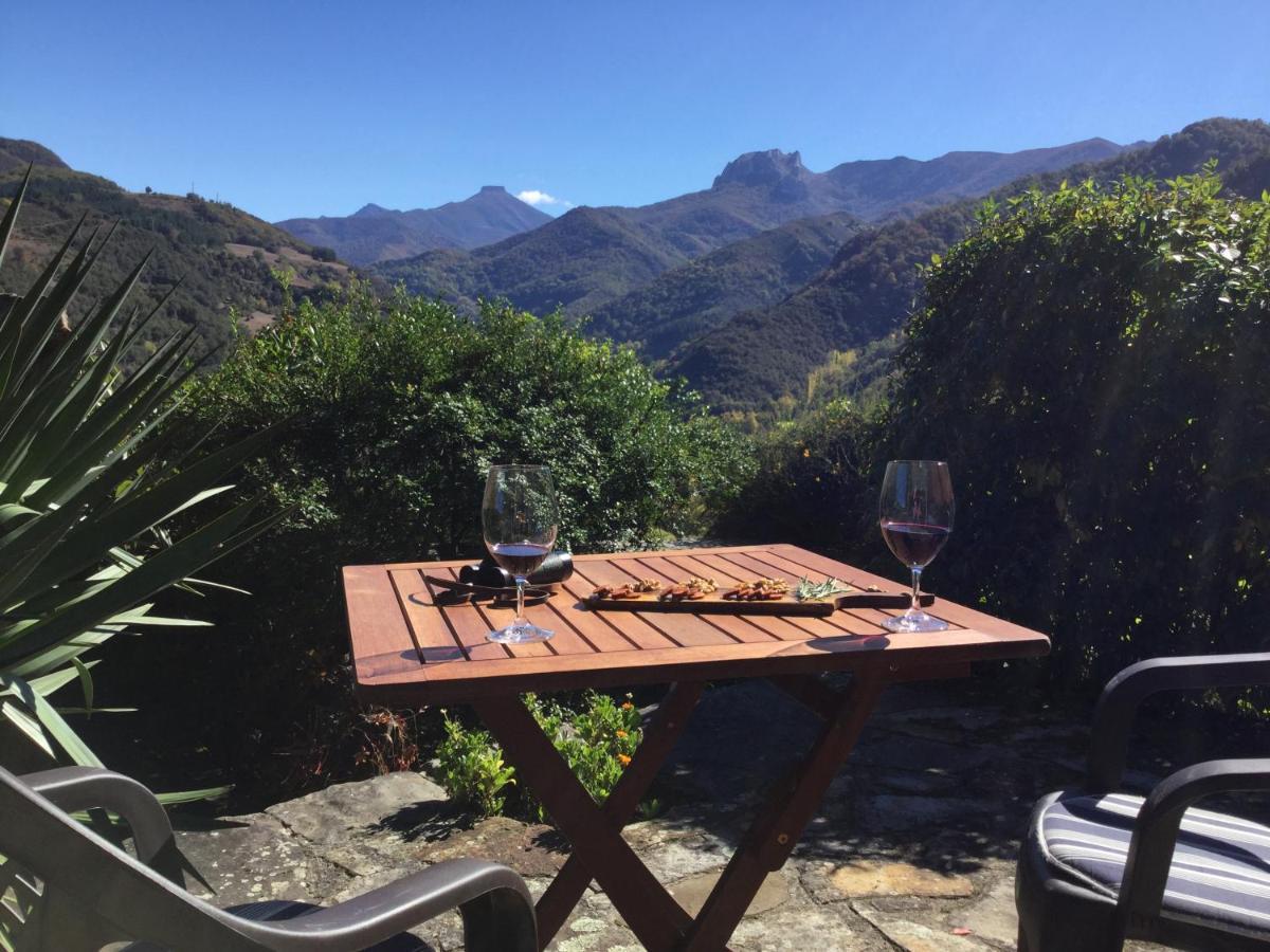 Olmares Terrace Apartment - Picos De Europa Lomeña Exteriör bild